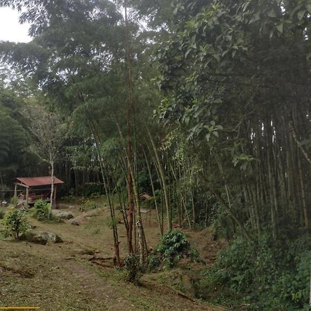 Finca clima templado, quebrada y jacuzzi; los clientes pueden usar todo el espacio y no tendrán que compartirlo con el anfitrión ni con otros huéspedes, calles en buen estado Alban  Exterior foto