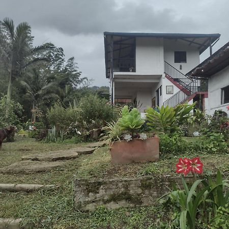 Finca clima templado, quebrada y jacuzzi; los clientes pueden usar todo el espacio y no tendrán que compartirlo con el anfitrión ni con otros huéspedes, calles en buen estado Alban  Exterior foto