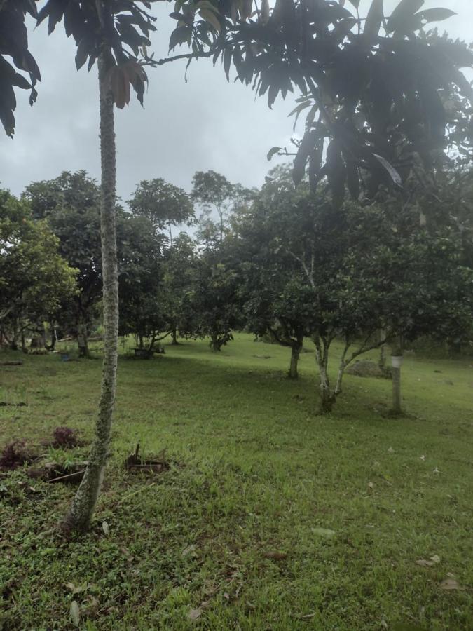 Finca clima templado, quebrada y jacuzzi; los clientes pueden usar todo el espacio y no tendrán que compartirlo con el anfitrión ni con otros huéspedes, calles en buen estado Alban  Exterior foto