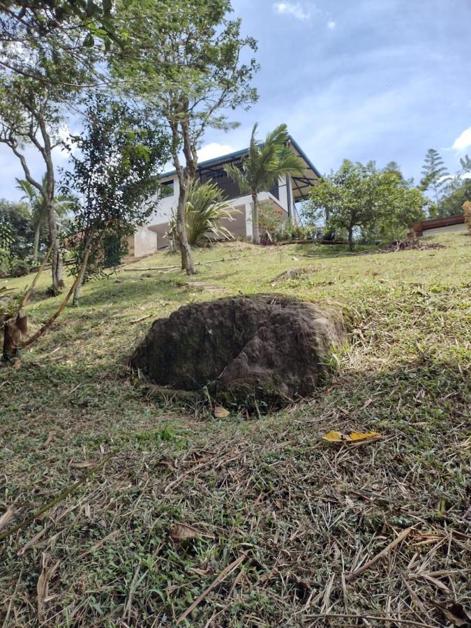Finca clima templado, quebrada y jacuzzi; los clientes pueden usar todo el espacio y no tendrán que compartirlo con el anfitrión ni con otros huéspedes, calles en buen estado Alban  Exterior foto