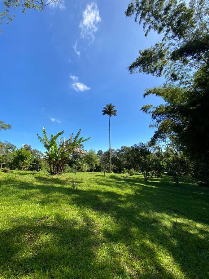 Finca clima templado, quebrada y jacuzzi; los clientes pueden usar todo el espacio y no tendrán que compartirlo con el anfitrión ni con otros huéspedes, calles en buen estado Alban  Exterior foto