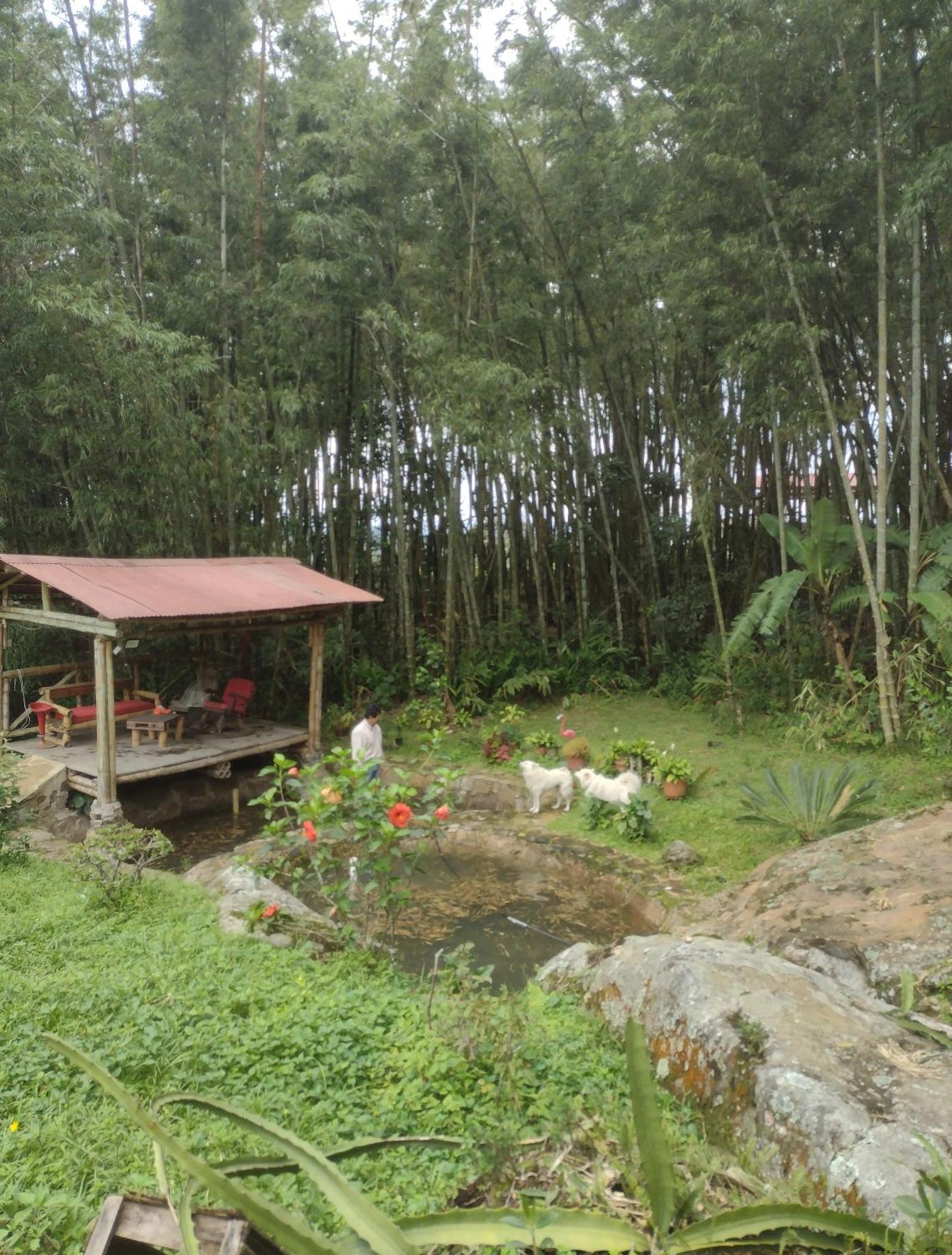 Finca clima templado, quebrada y jacuzzi; los clientes pueden usar todo el espacio y no tendrán que compartirlo con el anfitrión ni con otros huéspedes, calles en buen estado Alban  Exterior foto