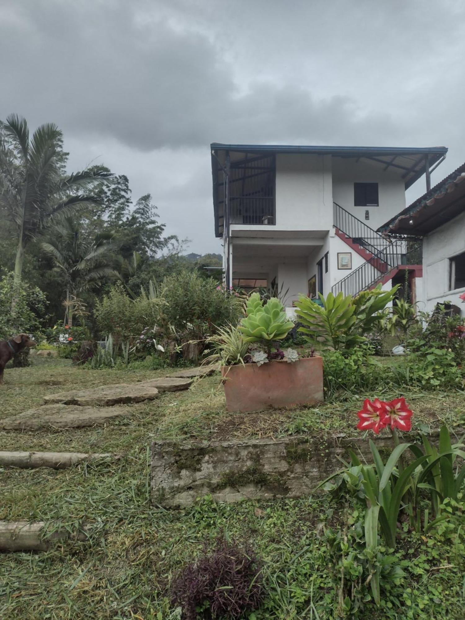 Finca clima templado, quebrada y jacuzzi; los clientes pueden usar todo el espacio y no tendrán que compartirlo con el anfitrión ni con otros huéspedes, calles en buen estado Alban  Exterior foto